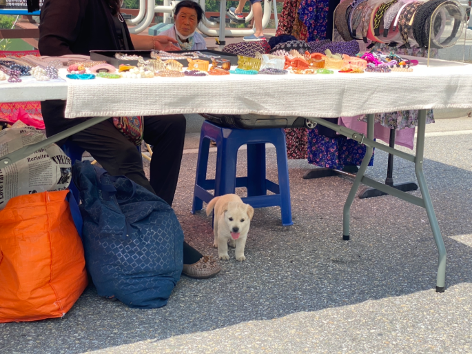 스크린샷 2026-02-18 191722.png