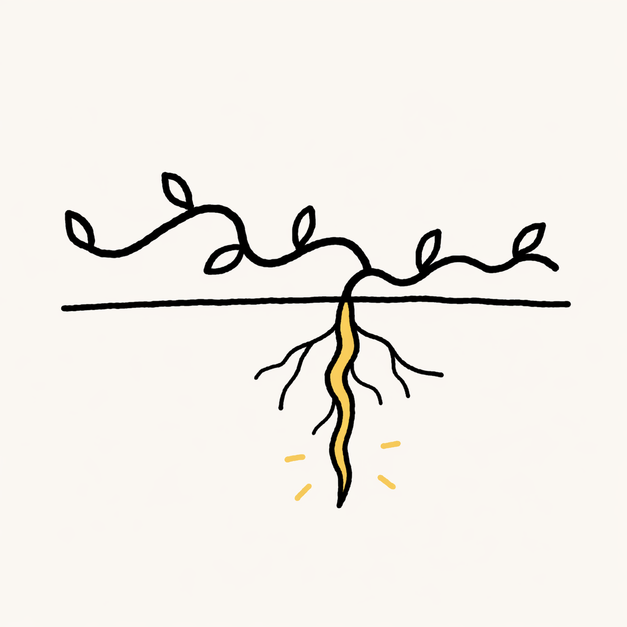 뿌리와 줄기의 간단한 스케치.png