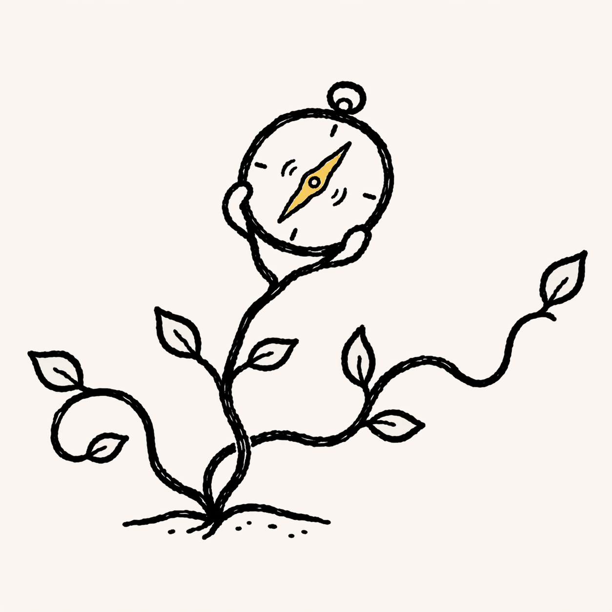 식물과 나침반의 성장.png