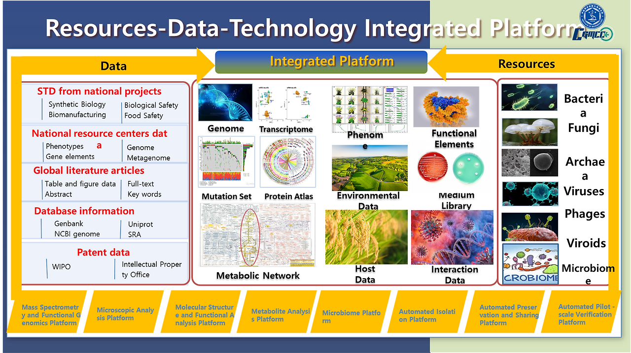 그림6 IMCAS 계획 1.png