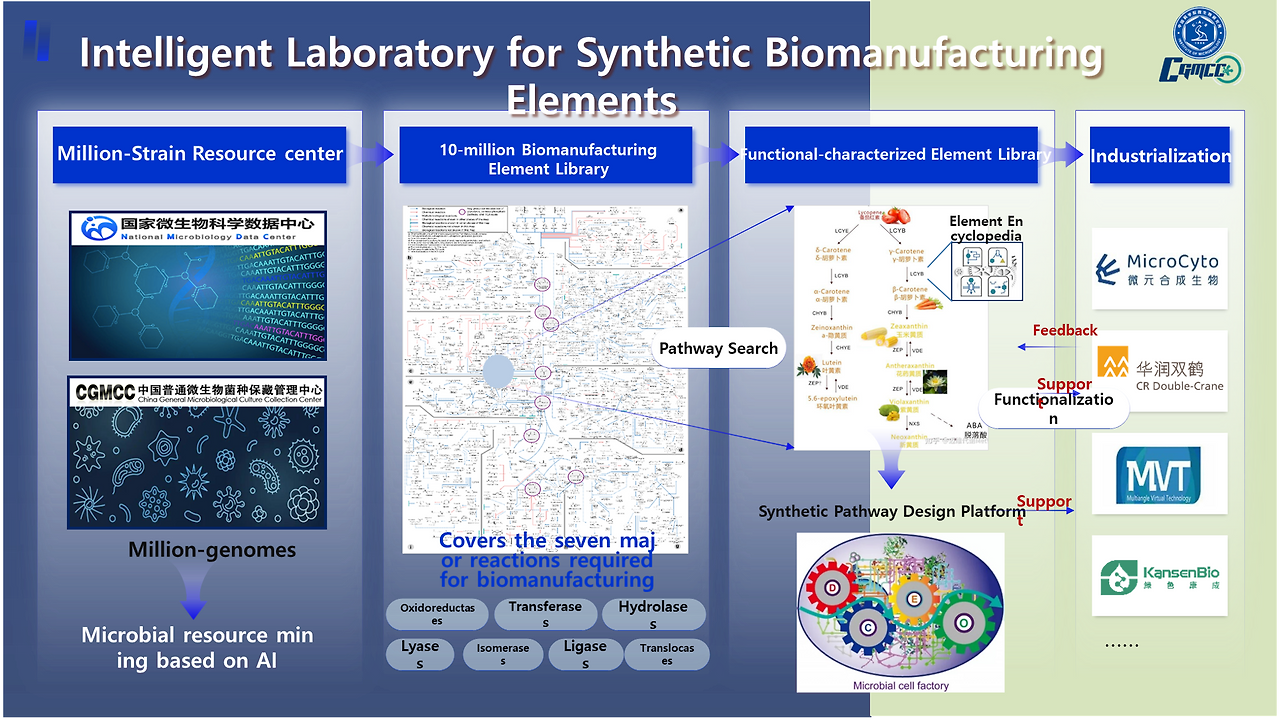 그림76 IMCAS 계획 2.png