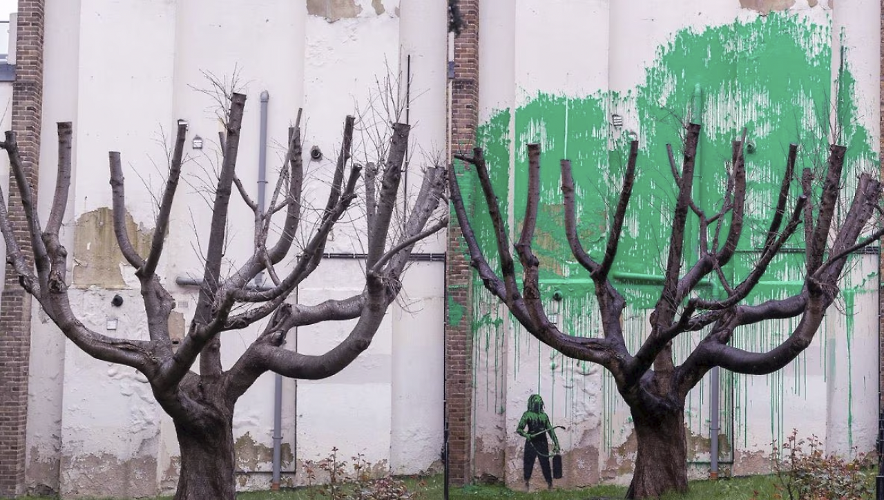 10. 핀즈버리 파크 나무의 전과 후.png