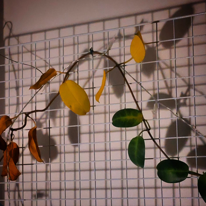 스크린샷 2026-03-16 231301.png