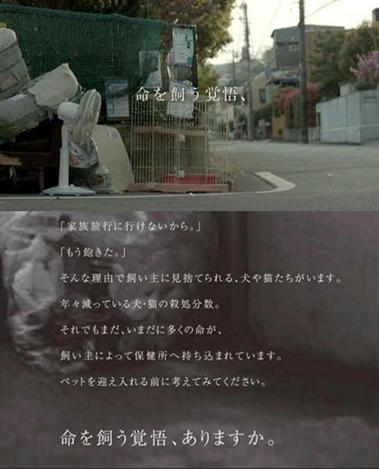 Frame 1410120484.png