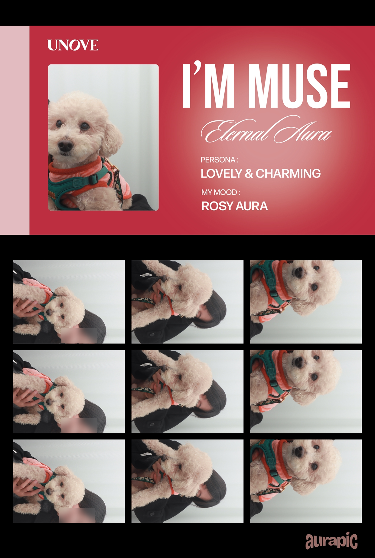 아우라픽 대여.png