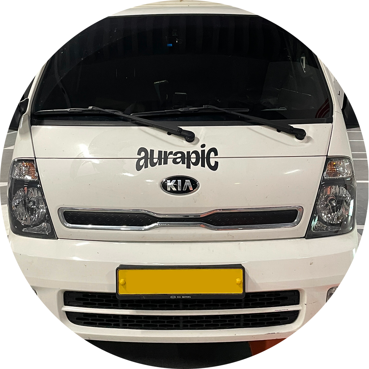 아우라픽 렌탈.png