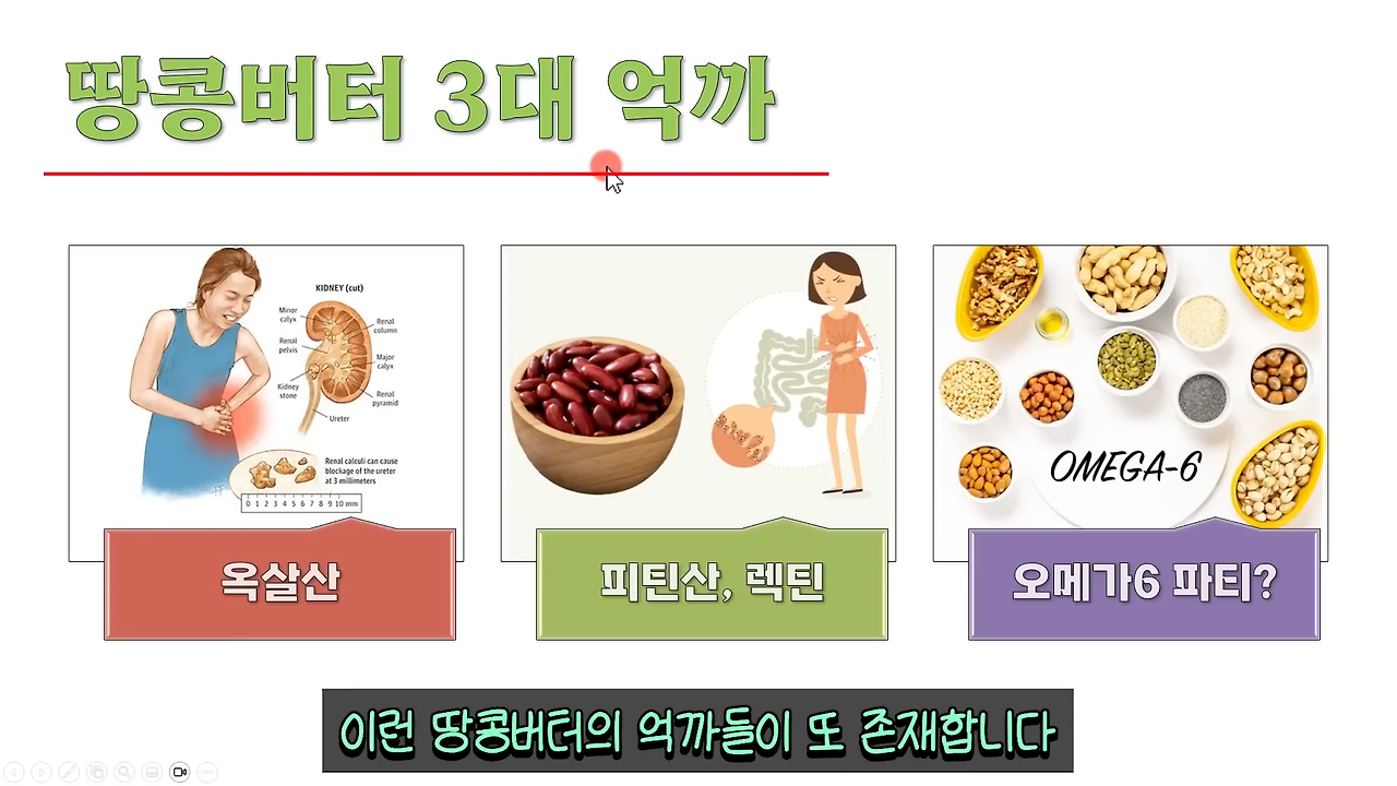 Untitled Project.png