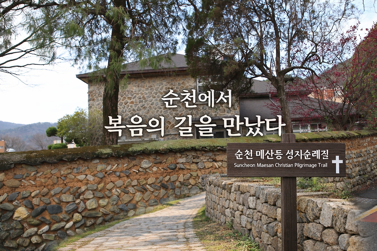 ChatGPT Image 2026년 3월 7일 오후 06_24_07.png