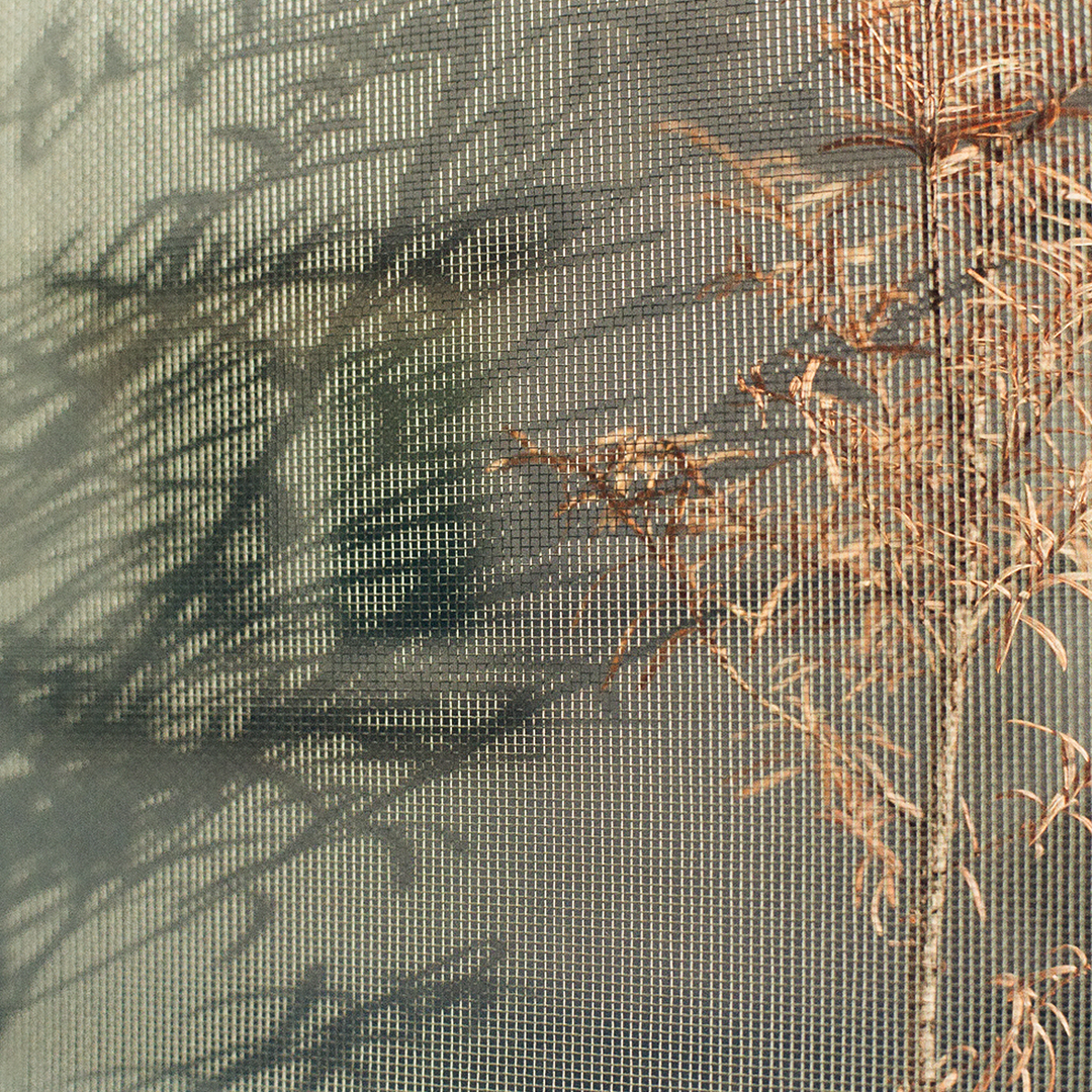 255 긴겨울나무.png