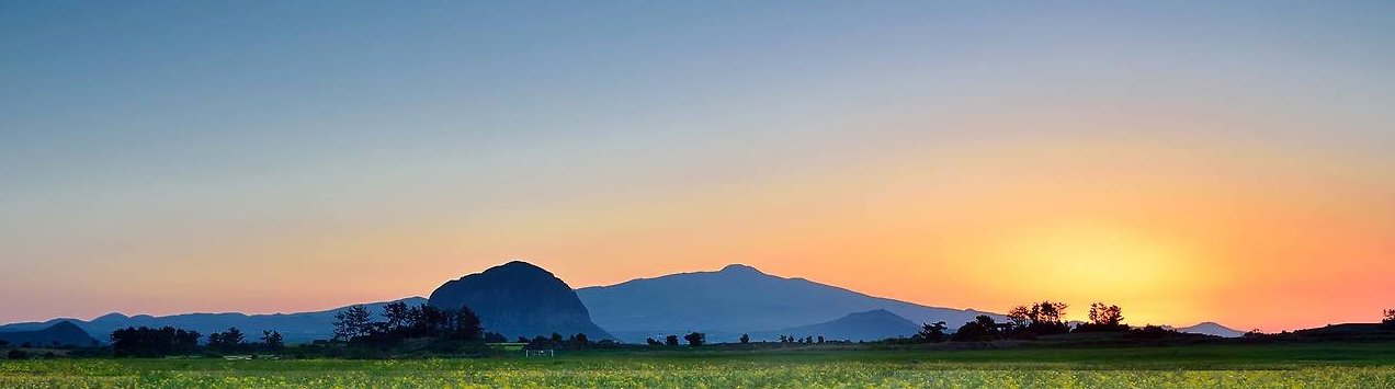 다운로드 (12).png