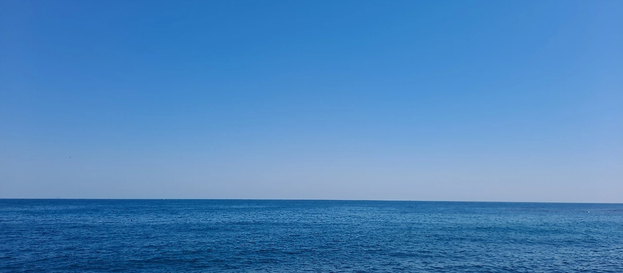 다운로드 (7).png