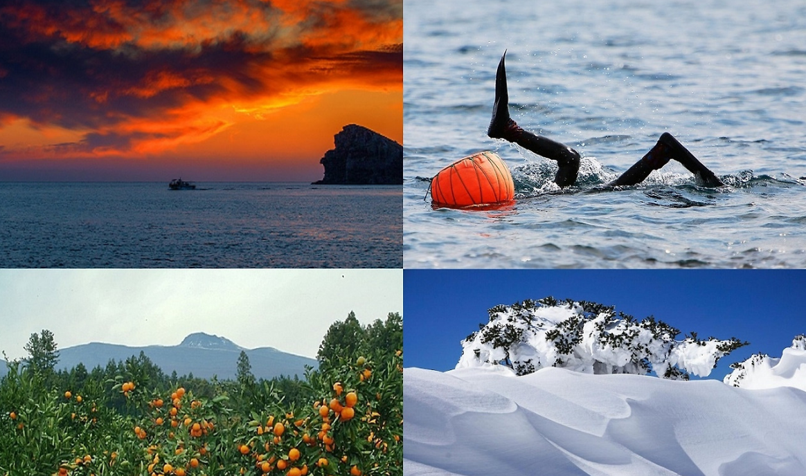 다운로드 (9).png