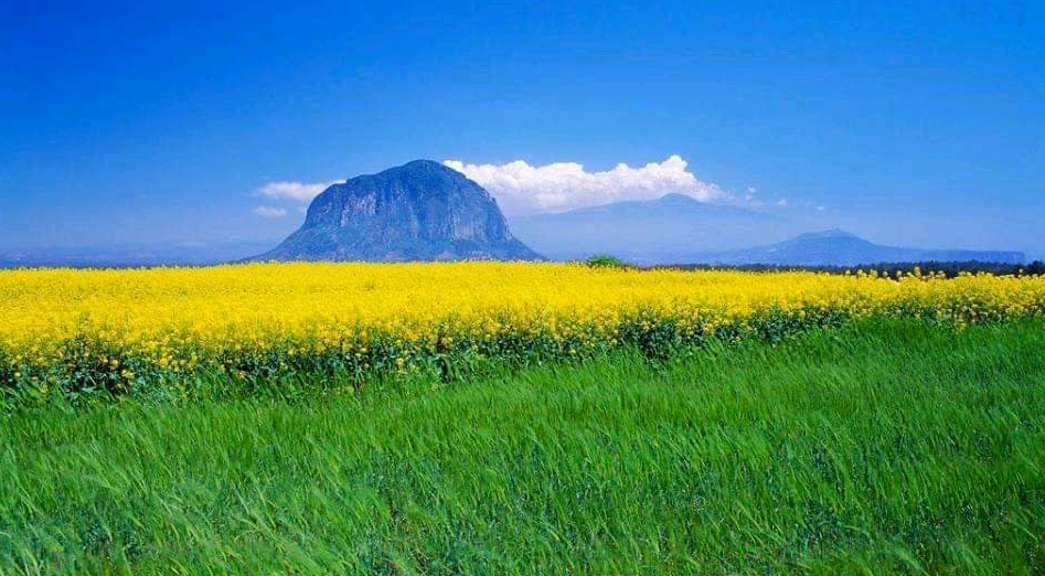 다운로드 (6).png