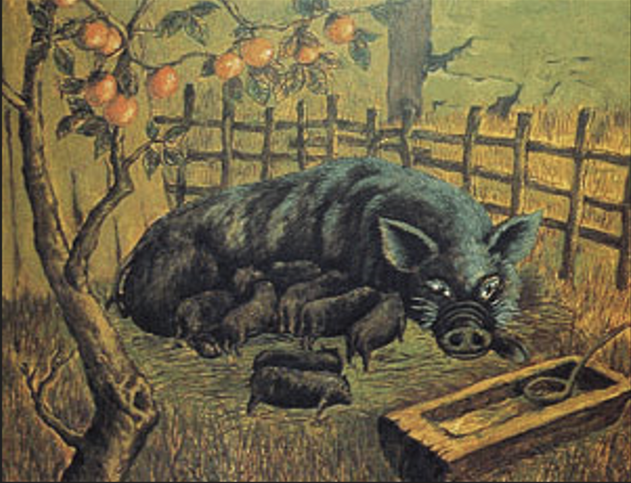 민정기 돼지.png