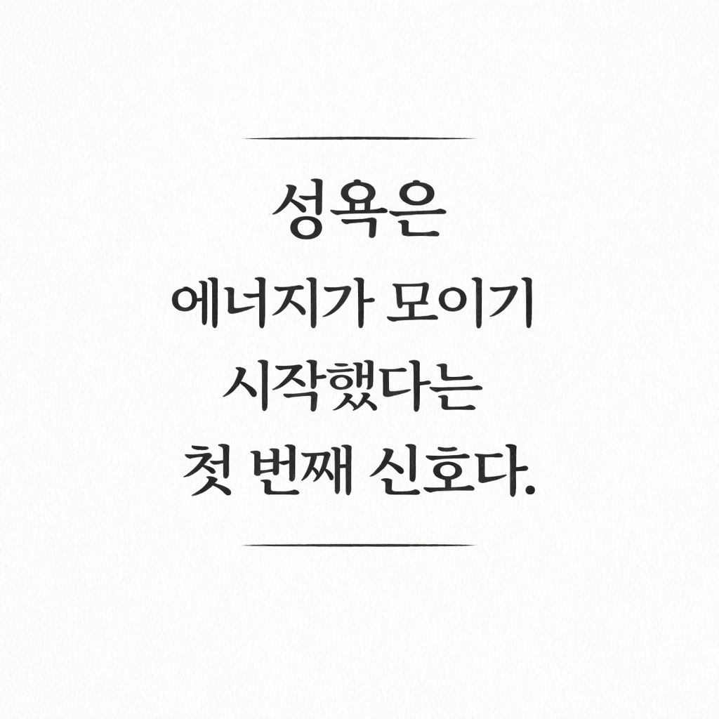 ChatGPT Image 2026년 3월 8일 오후 01_27_13.png