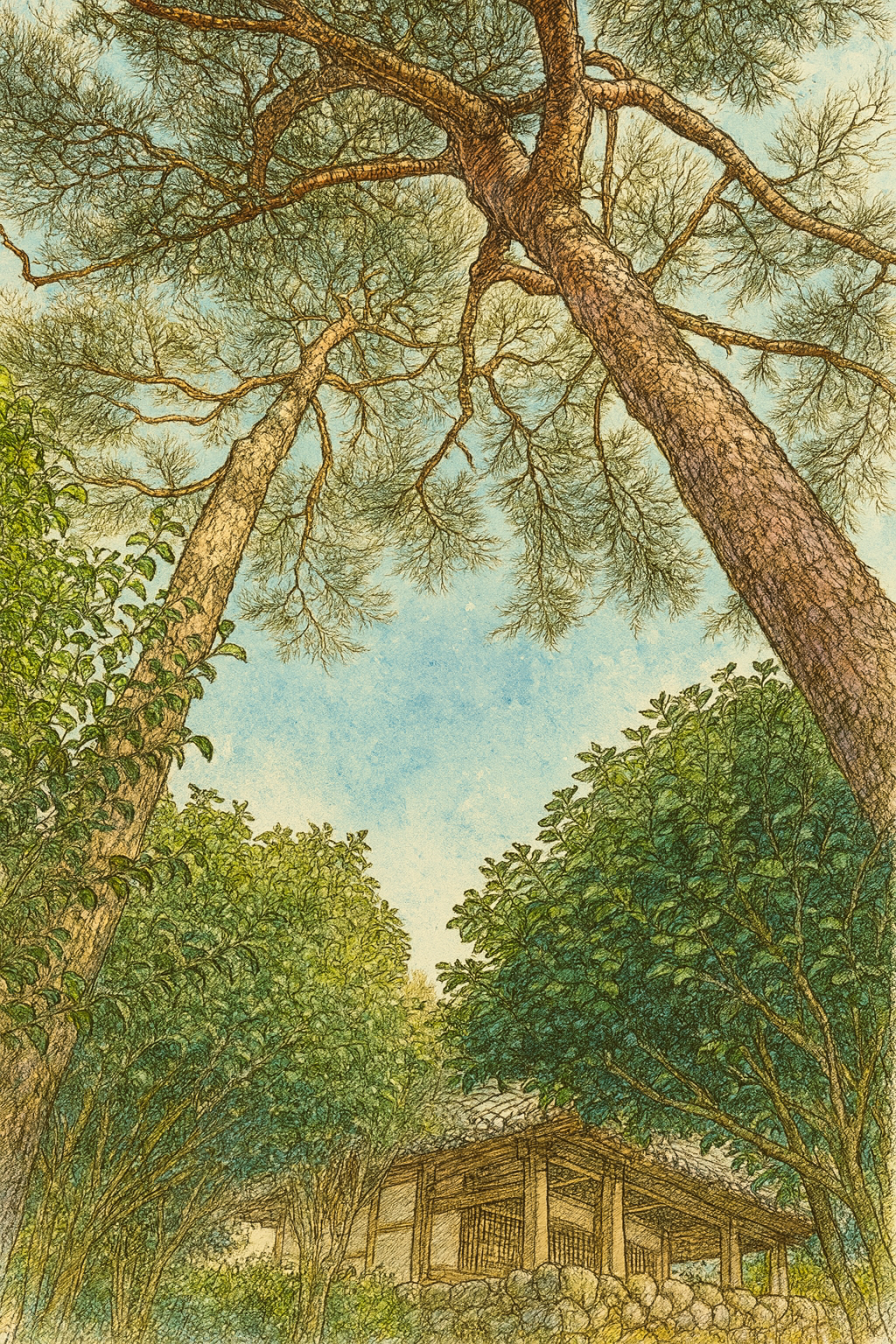 장흥 동백정 원림 - 근경(손그림디테일).png