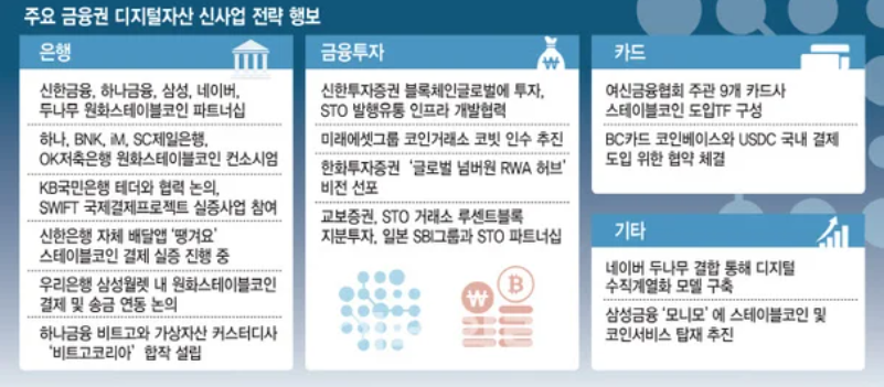 국내 디지털 자산 구도.png