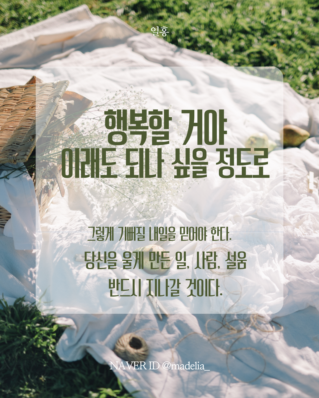 인어사냥 (2).png