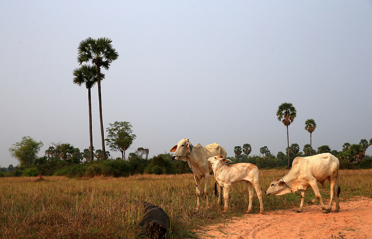 스크린샷 2026-03-24 154810.png