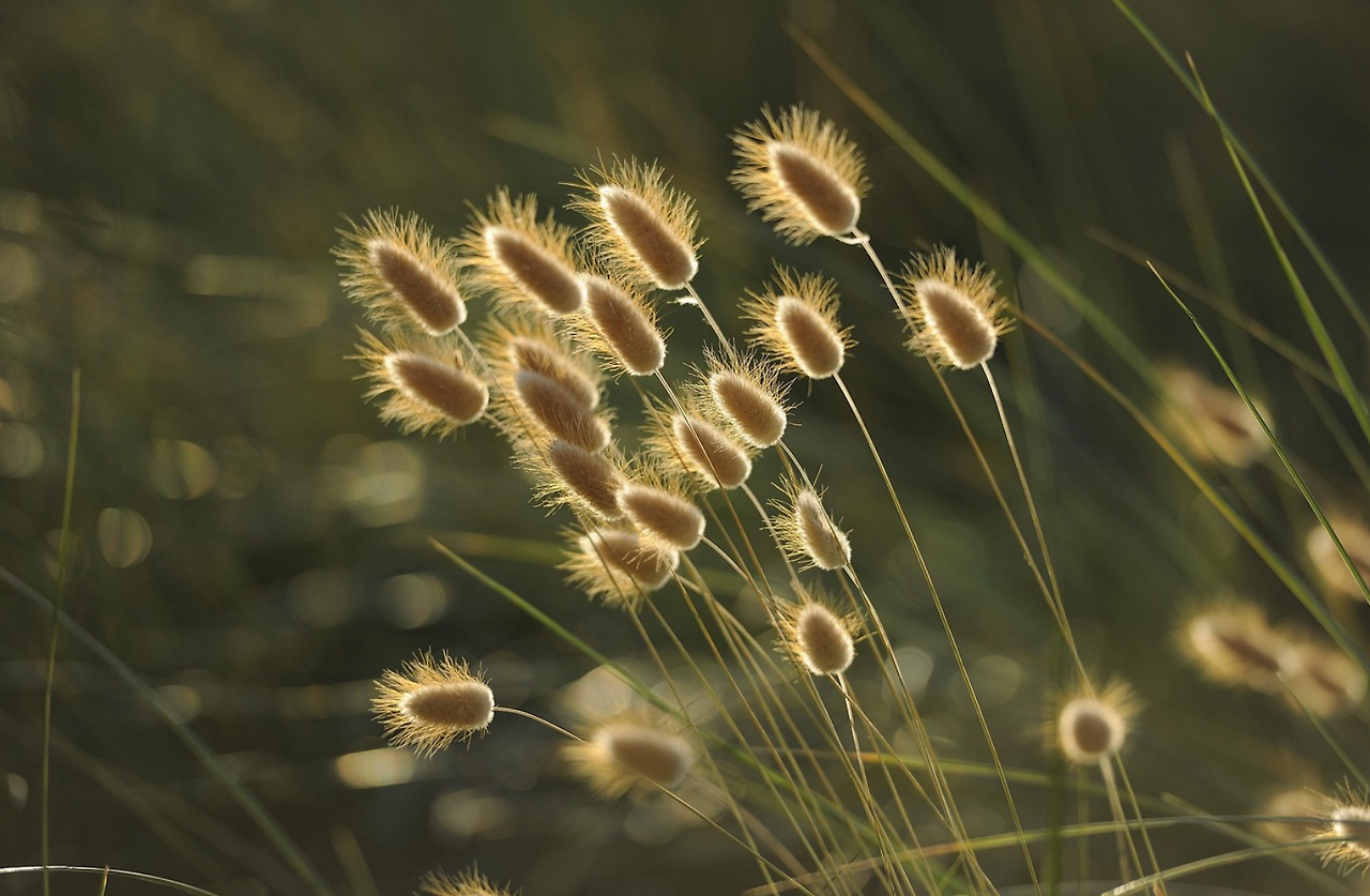 스크린샷 2026-03-12 145718.png