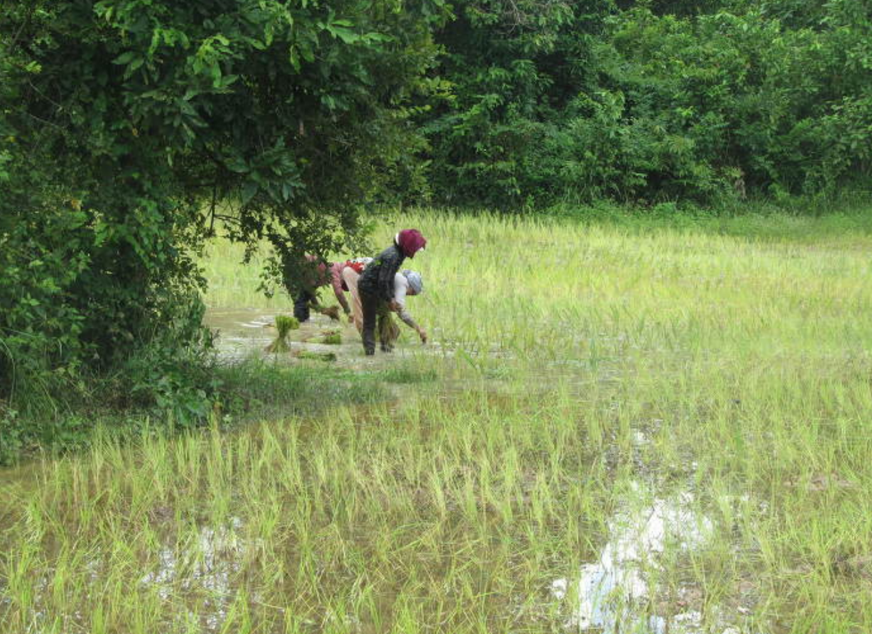 스크린샷 2026-03-17 223233.png