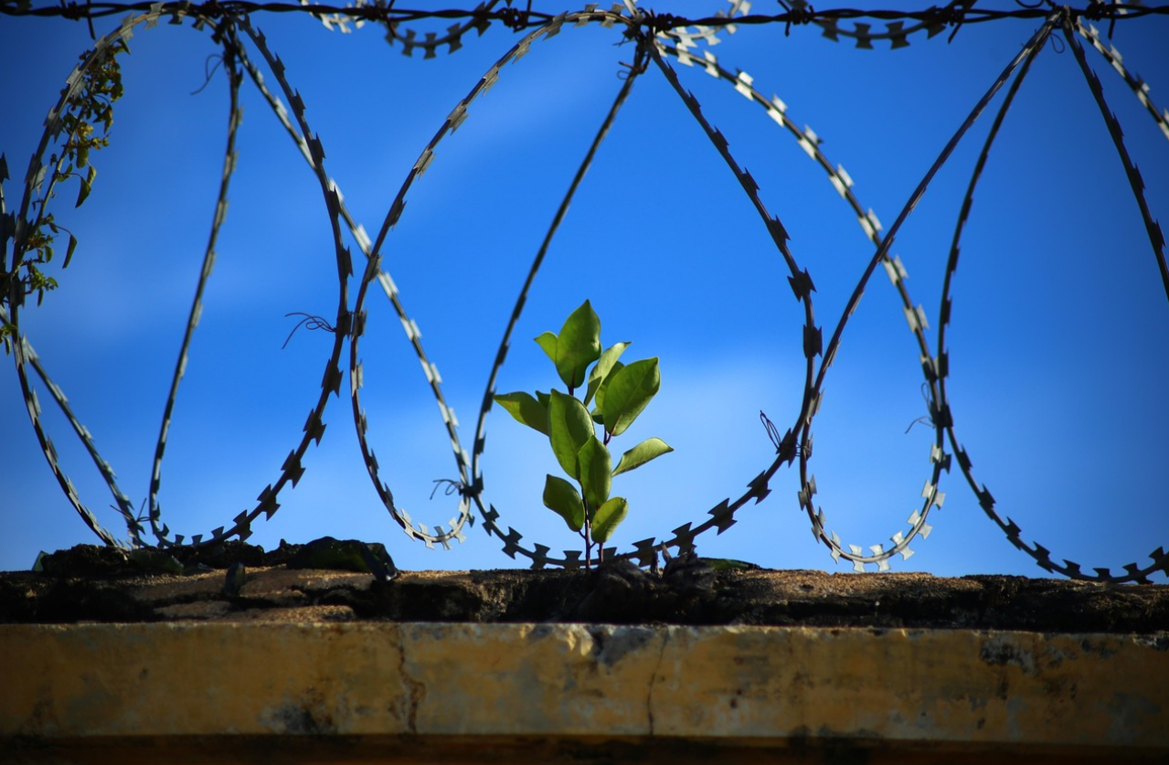 스크린샷 2026-03-12 150032.png