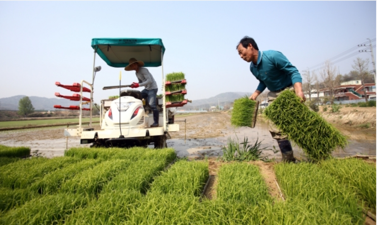 스크린샷 2026-03-17 223020.png