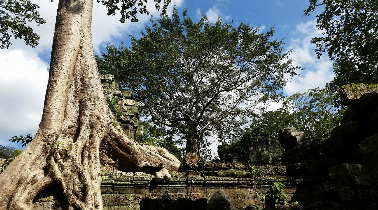 스크린샷 2026-01-30 152812.png