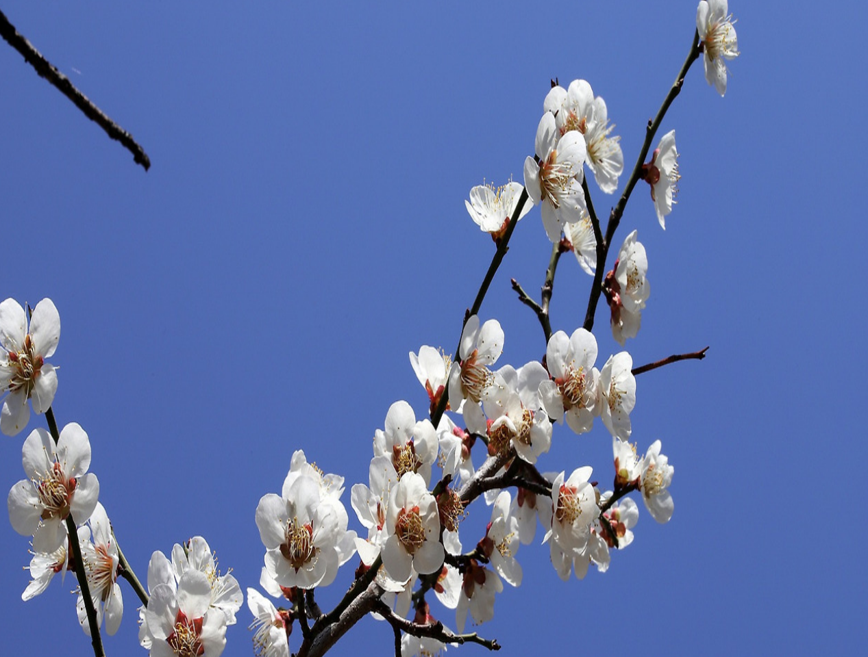 스크린샷 2026-03-03 151351.png