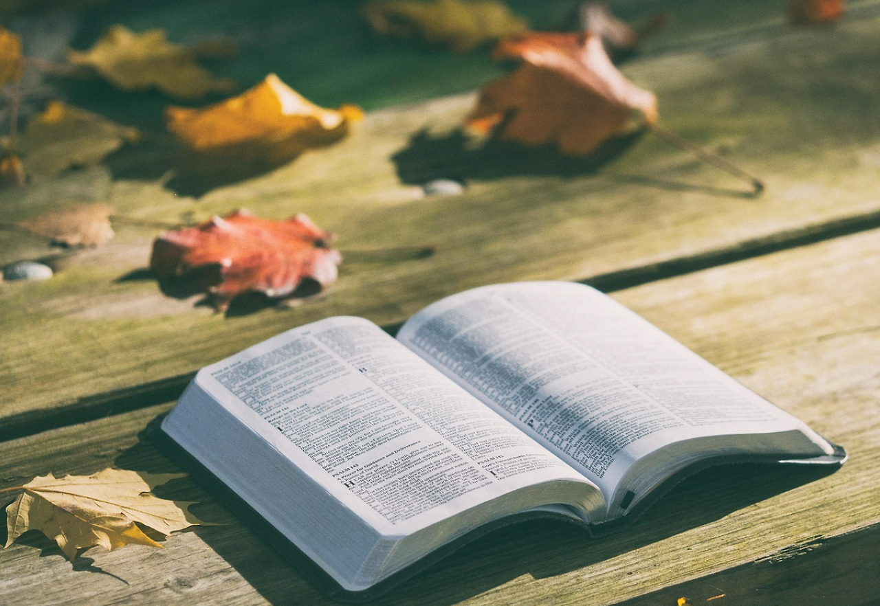 스크린샷 2026-02-02 143946.png