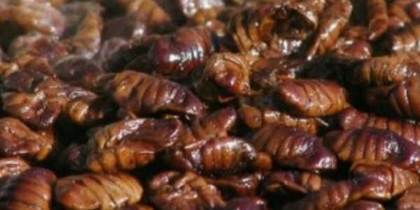 스크린샷 2026-01-22 163131.png