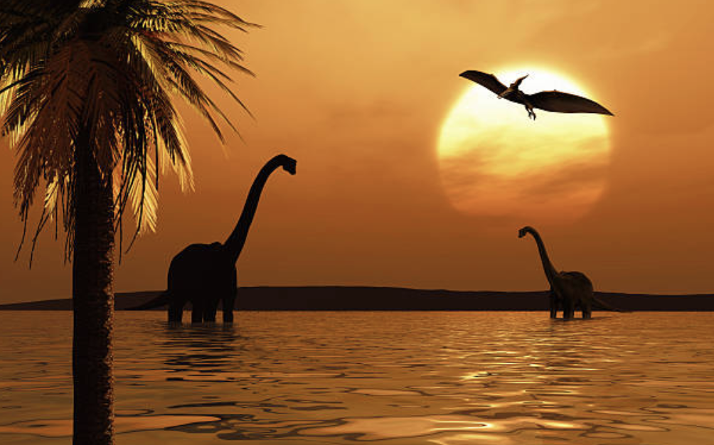 Screenshot 2026-03-06 at 01.35.08.png