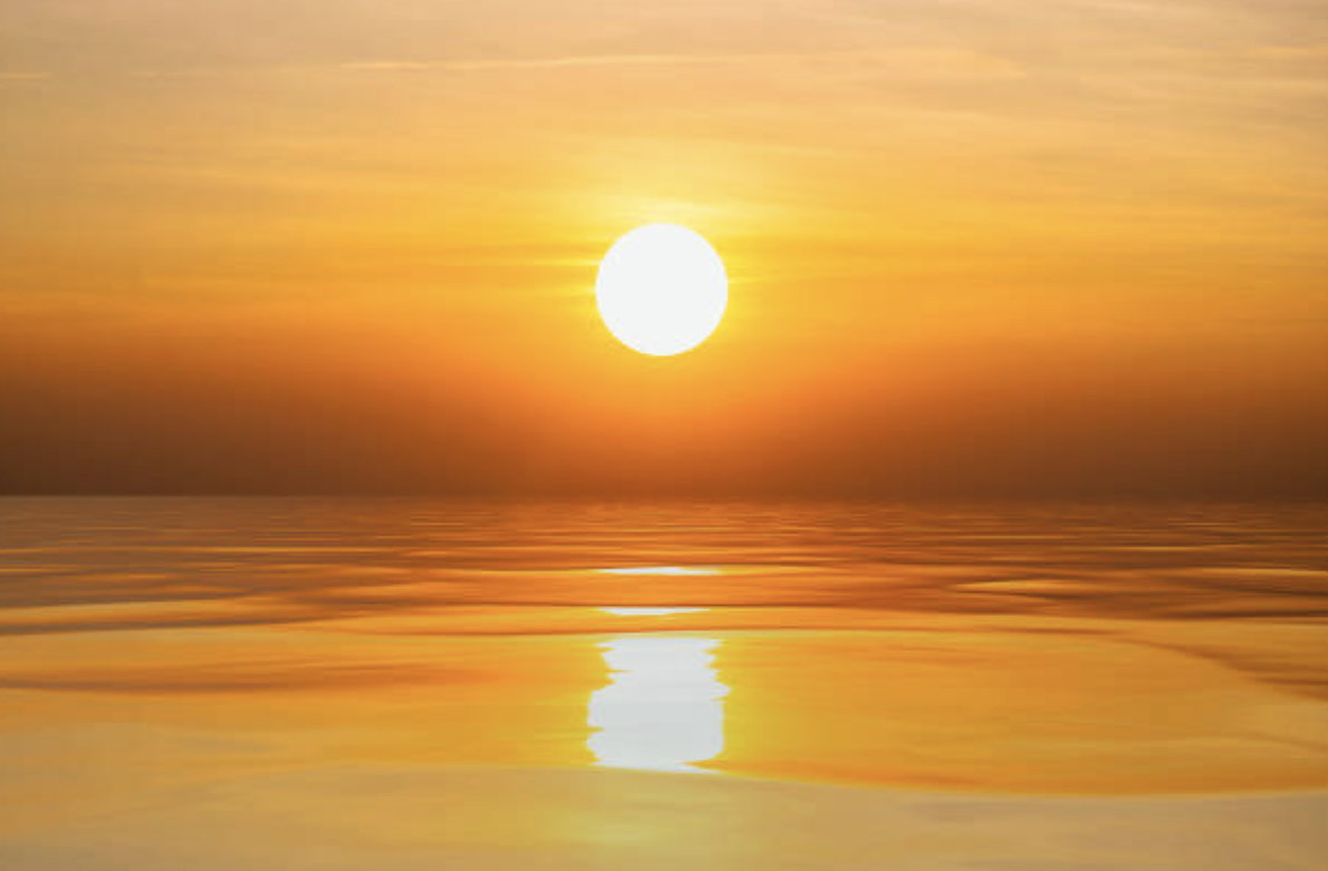 Screenshot 2026-03-11 at 00.51.40.png