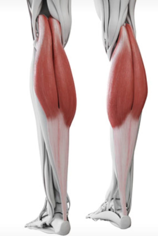 스크린샷 2026-03-27 오후 2.36.20.png