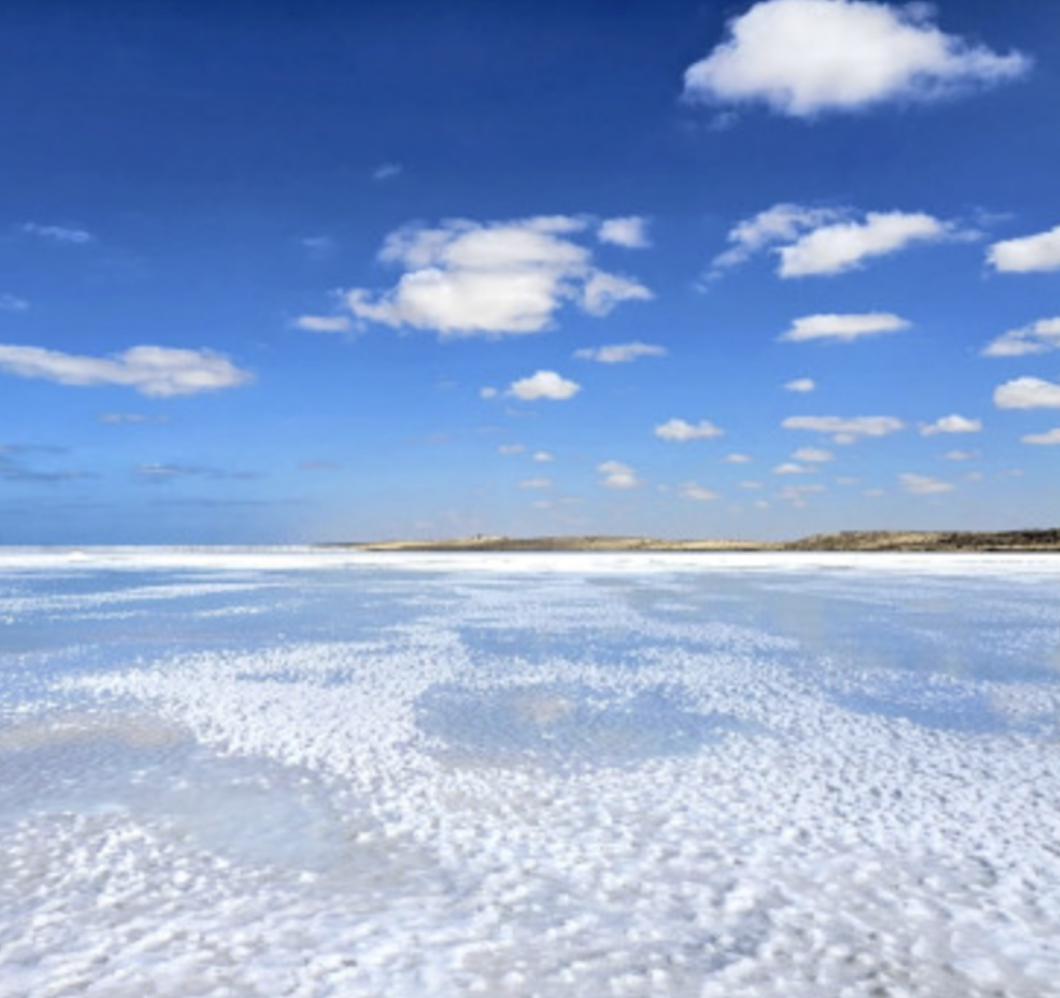 스크린샷 2026-03-24 오전 10.52.08.png