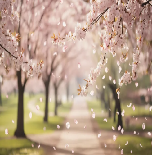 스크린샷 2026-03-02 001216.png