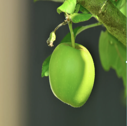 스크린샷 2026-04-20 093912.png