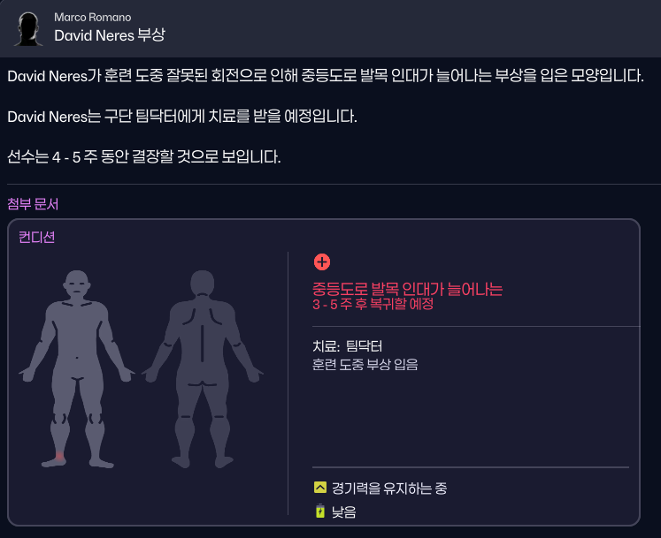 아니 네레스 한달짜리 장기 부상.png