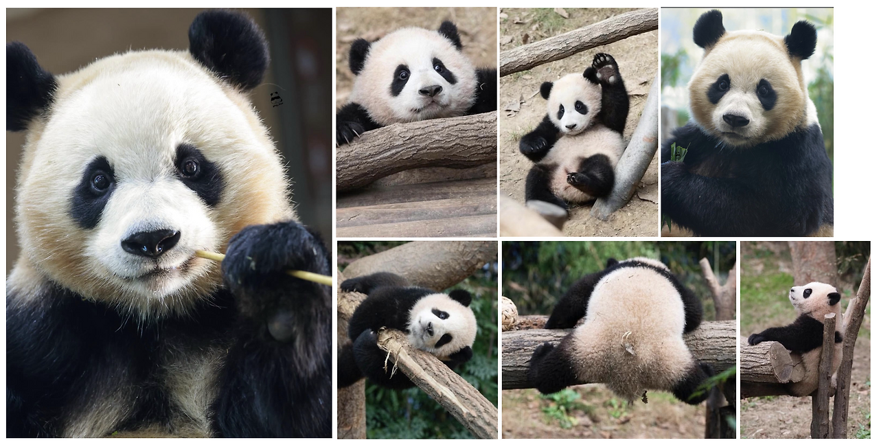 스크린샷 2026-01-23 오후 12.37.39.png