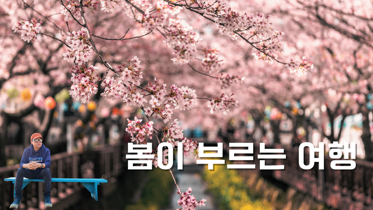 솔로 혼자 봄여행 명소 식당 추천 유튜브 브이로그 썸네일.png