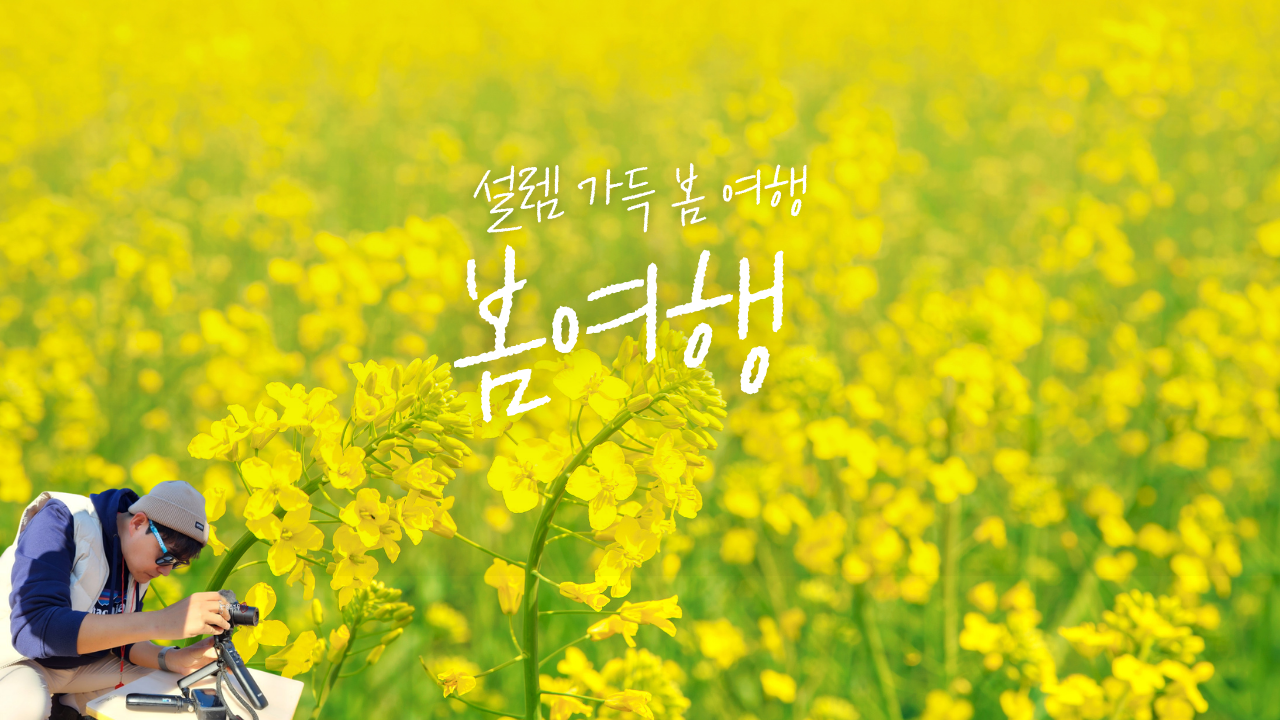 노랑 단순한 봄 여행 브이로그 유튜브 썸네일.png