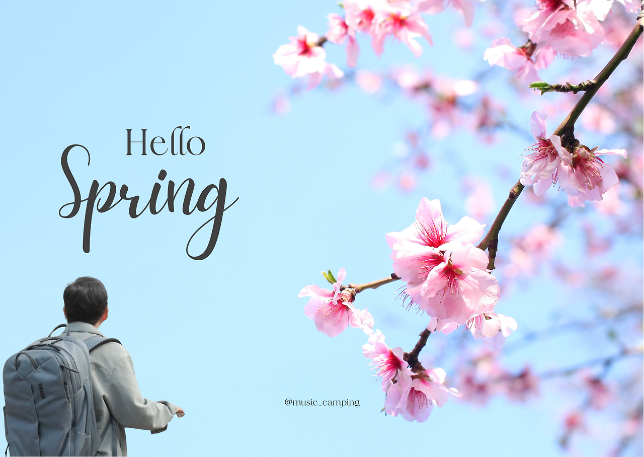 Blue Minimalist Hello Spring Card.png