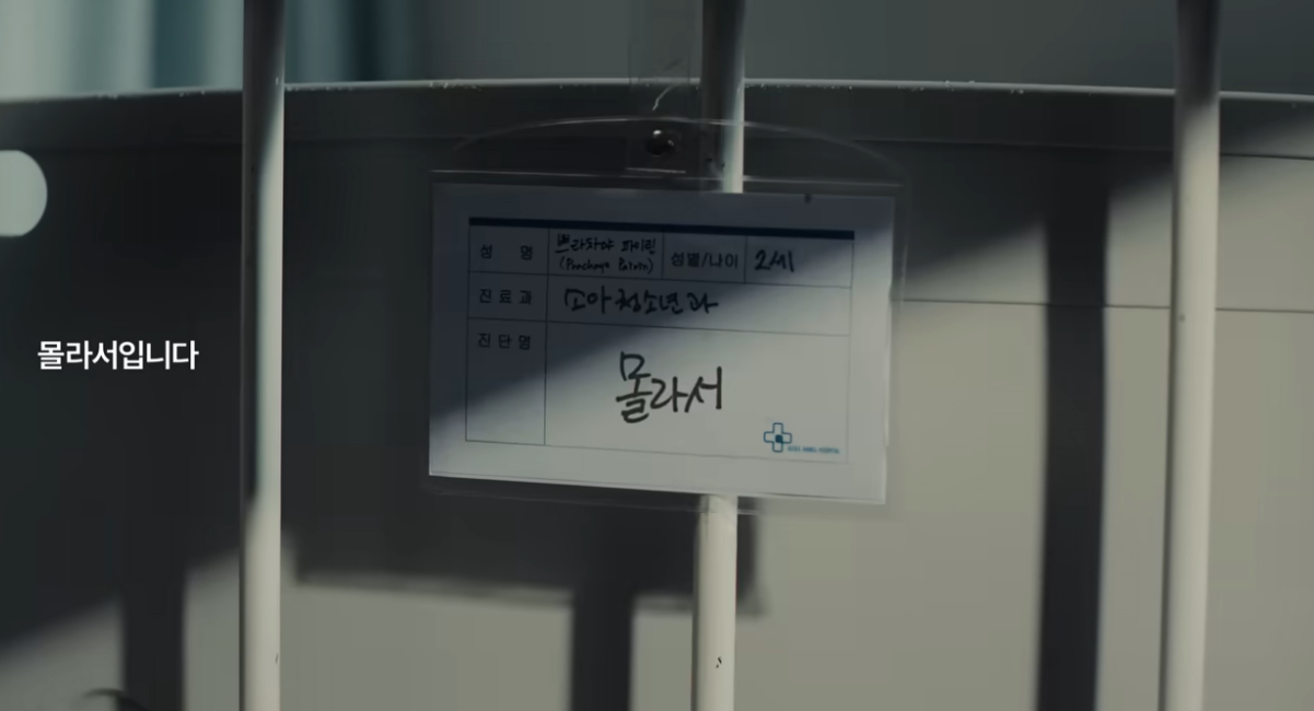 화면 캡처 2026-04-13 003530.png