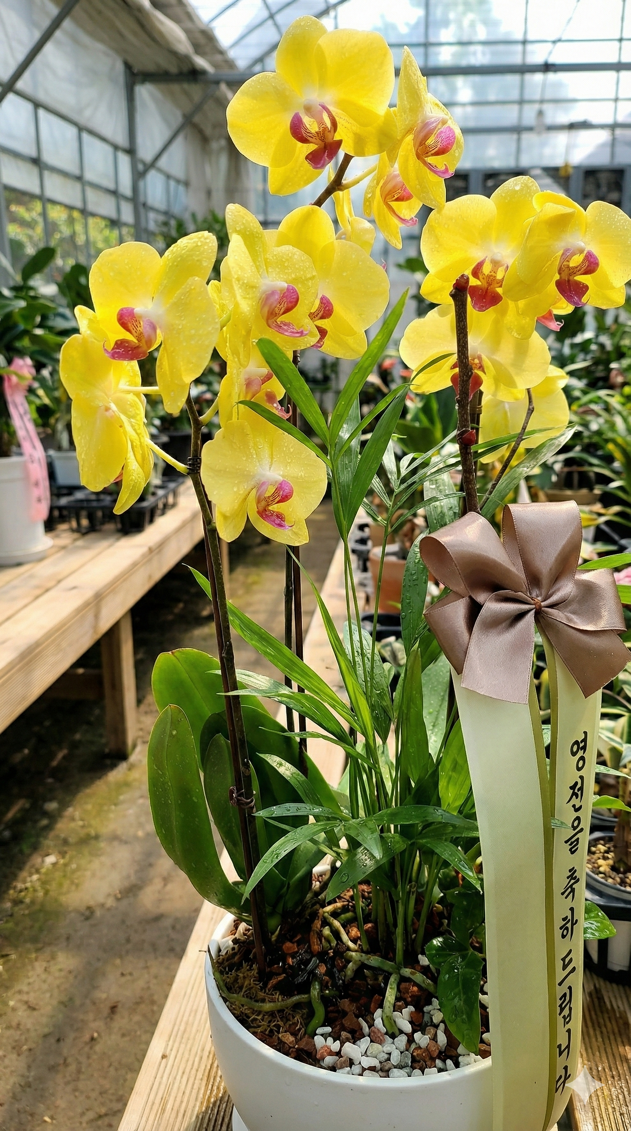 기버 금공주 배송후기.png