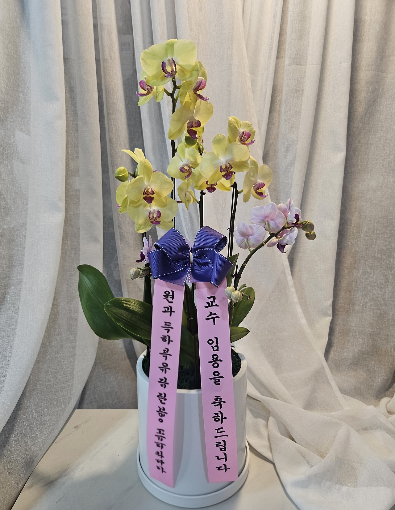 전북특별자치도 전주시 완산구 서원로 383 간호학과 이윤경 교수연구실.png