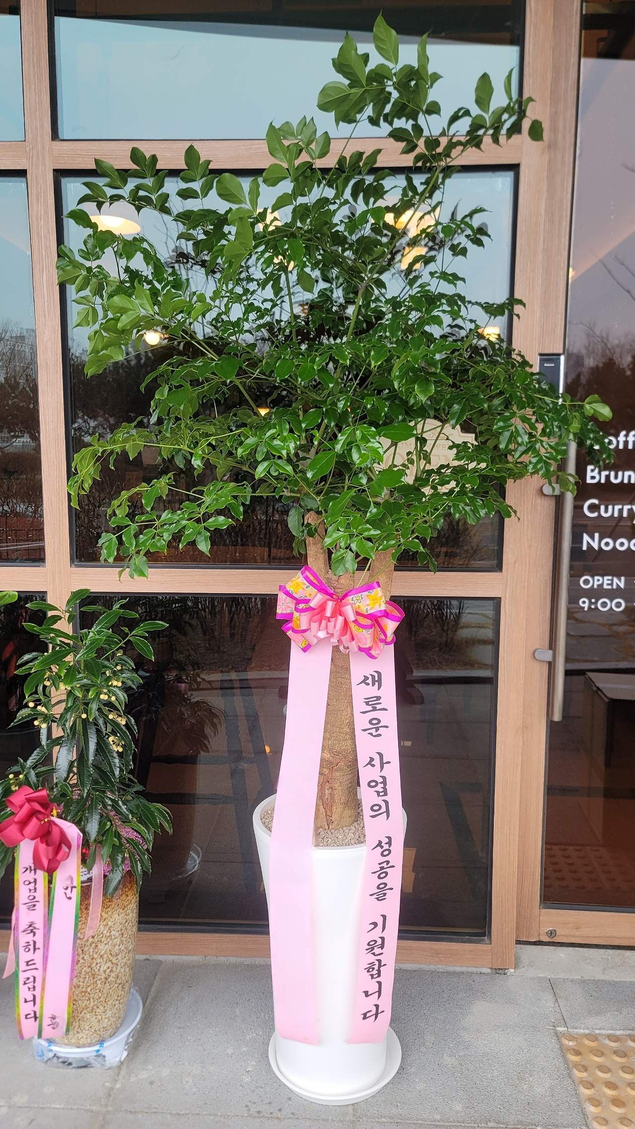 인천 연수구 송도동 30-2  1층 상가C동116호 본 하우스.png