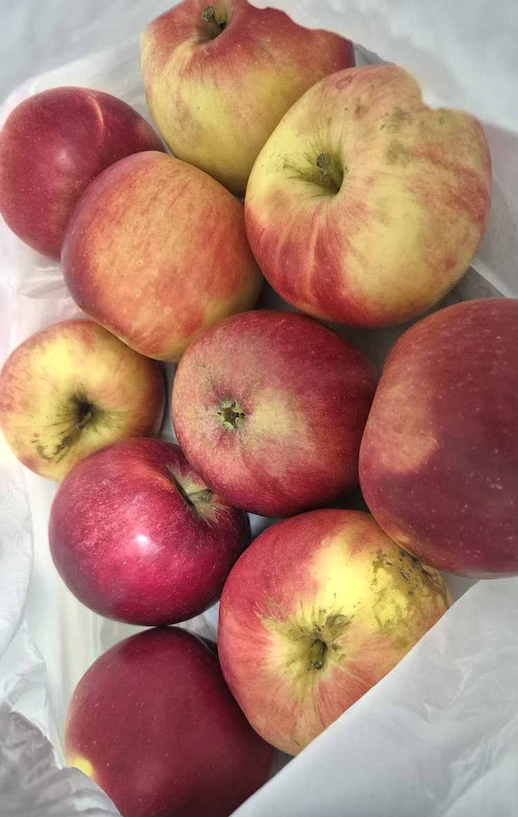 Screenshot 2026-02-26 at 2.40.02 PM.png