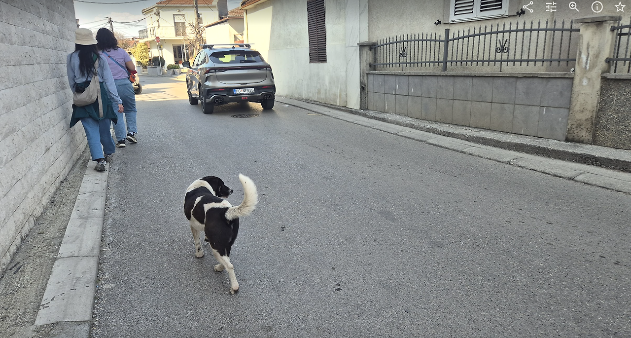 Screenshot 2026-03-16 at 4.02.01 PM.png