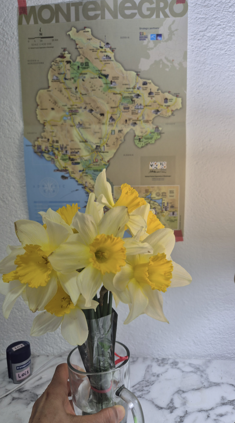 Screenshot 2026-03-08 at 10.03.23 PM.png