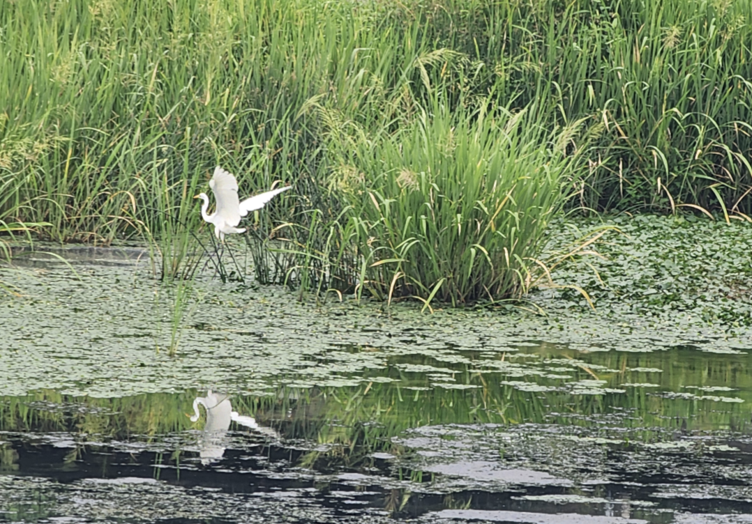 스크린샷 2026-01-30 오후 7.16.28.png